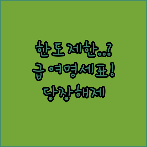 보이스피싱 방지 한도 제한 계좌 해제..