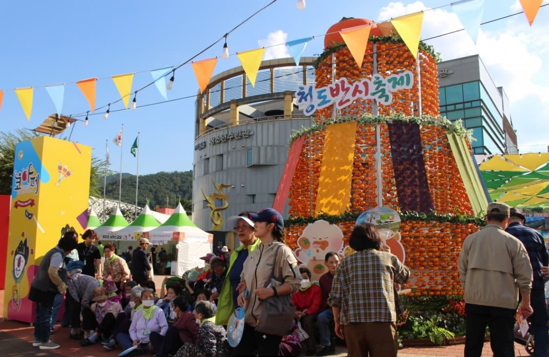 2025 청도 반시축제 완전정복