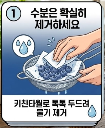 블루베리 세척법