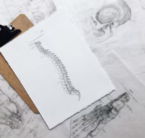 칼슘 하루 권장량 성인 1일 섭취방법