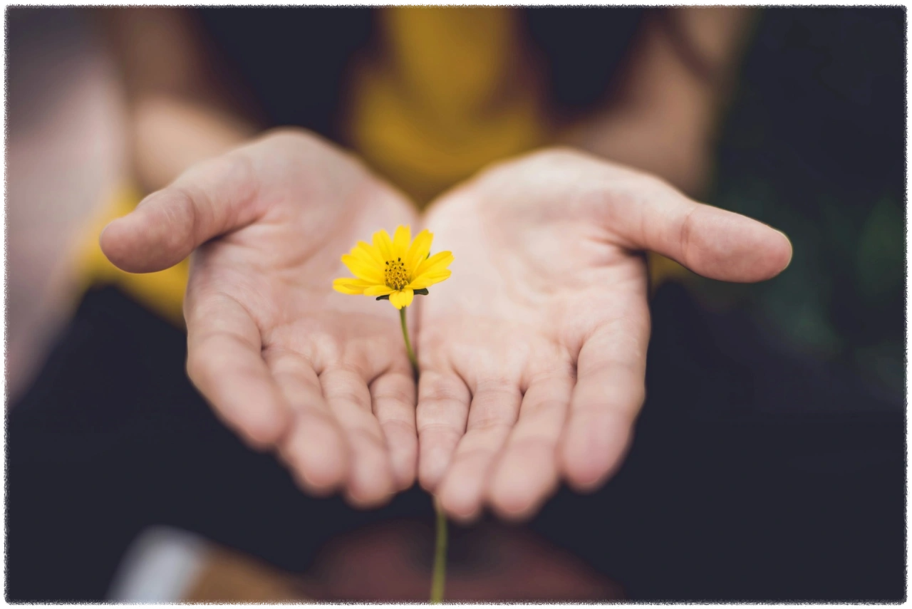손바닥-위에-피어있는-작은-노란꽃