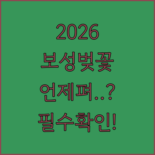 2026 보성 벚꽃 개화 시기 및 만..