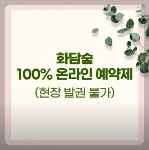 화담숲 가을 단풍시기