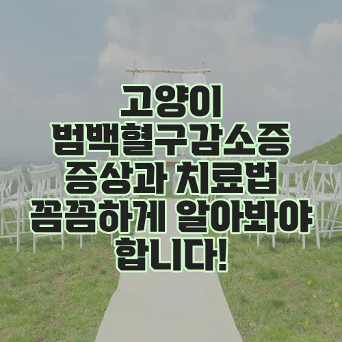고양이 범백혈구감소증 증상과 치료법 꼼꼼하게 알아봐야 합니다!