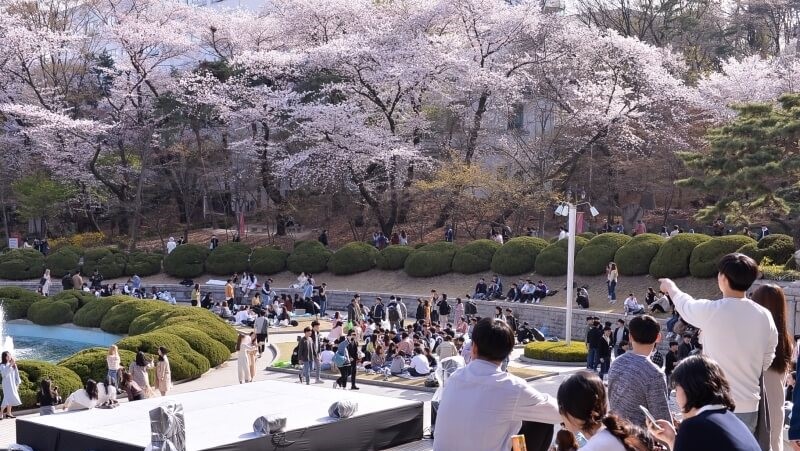 경희대 본관 사진
