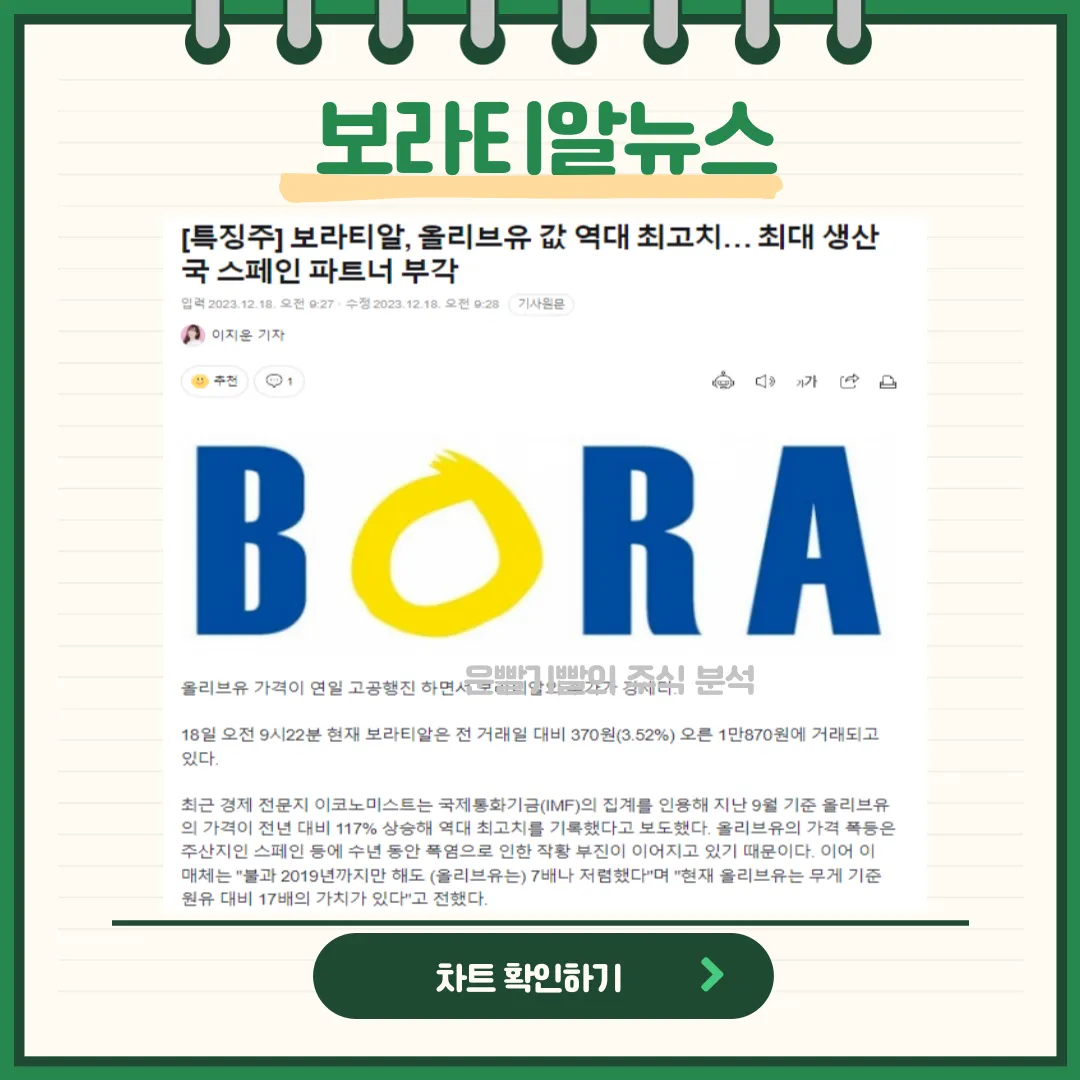 보라티알 뉴스
