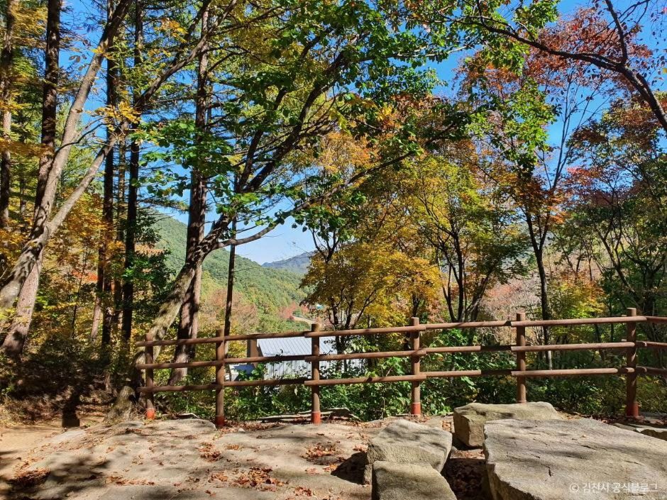 김천 가볼만한곳 베스트10