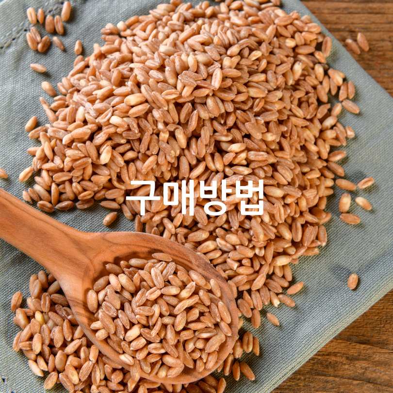 파로의 효능과 먹는방법