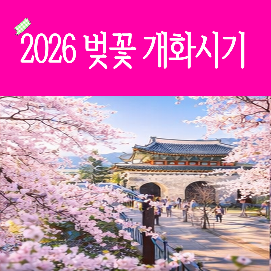 2026 벚꽃 개화 시기 지도 및 만개 시기 총정리
