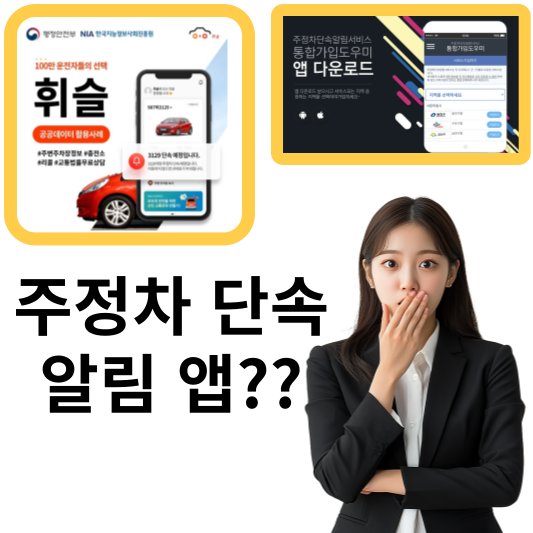 주정차 단속 알림 앱