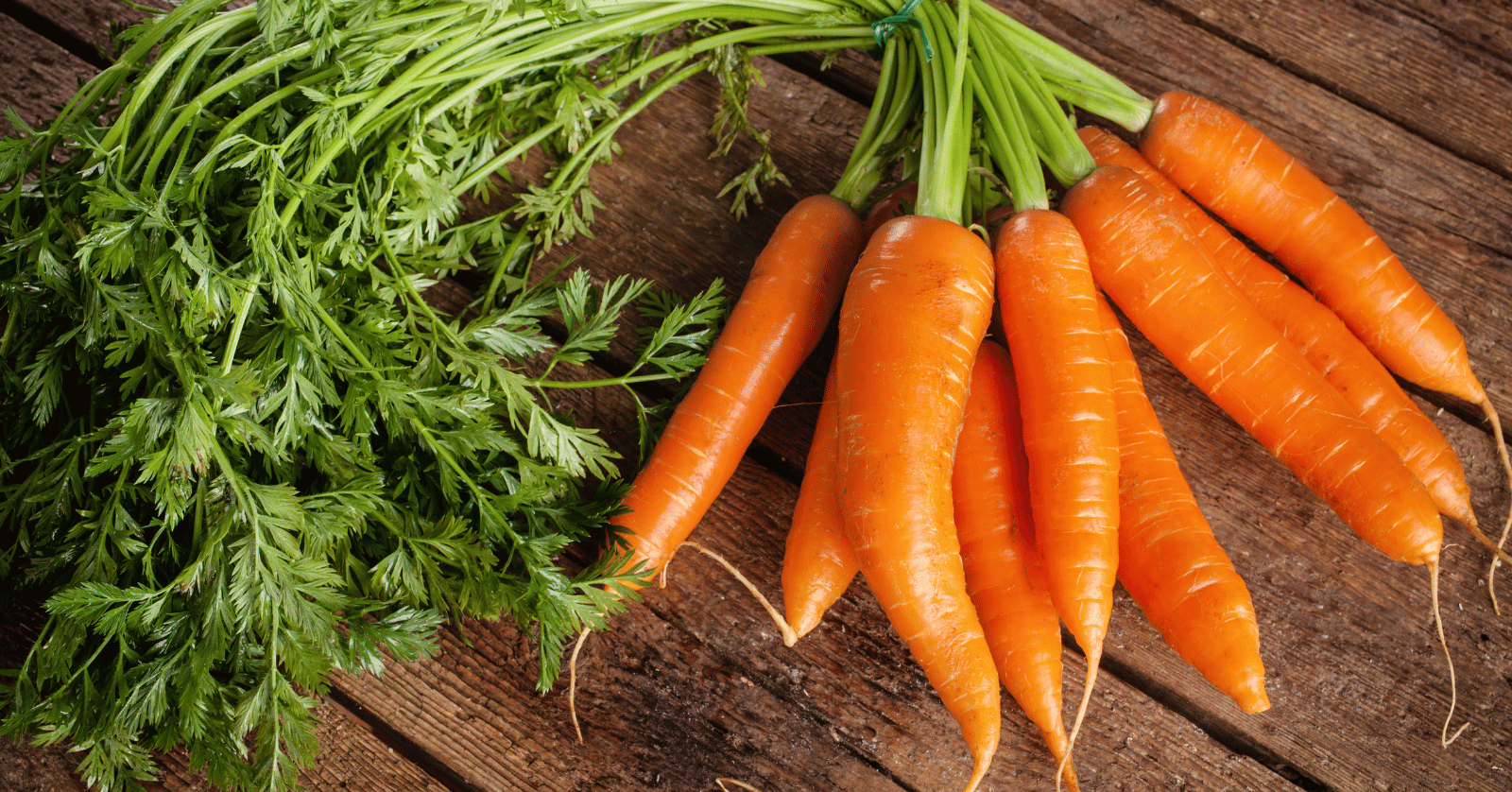 탄수화물이많은음식