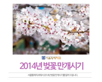 벚꽃 만개시기 2025 숨겨진 명소 베스트3_10