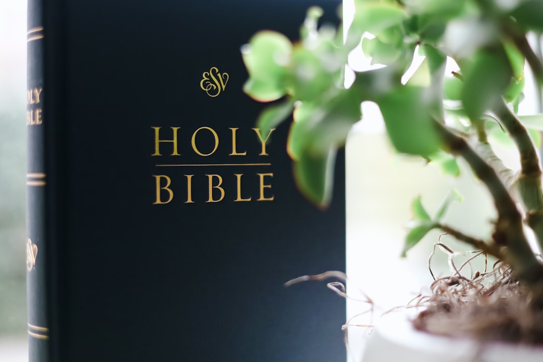 Translation.
