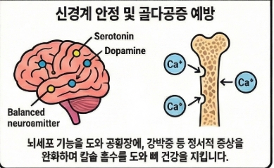 이노시톨의 과학: &lsquo;많이 먹을수록 좋은 영양제&rsquo;가 아닌 이유