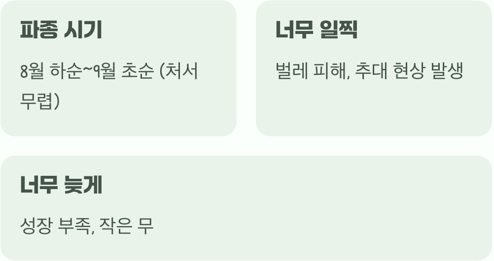 씨앗 뿌릴 최적의 시기