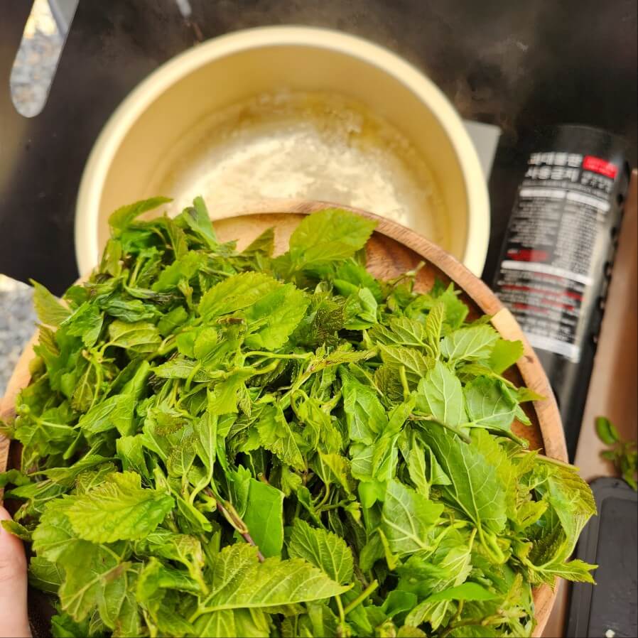 #숙주나물무침 #방풍나물 무침 #세발나물무침 #비름나물 무침 #가죽나물무침 #머위나물무침 #톳나물무침 #오가피나물무침 #유채나물무침 #두릅나물무침 #가지나물무침 #미나리나물무침 #시금치나물무침 #봄나물무침 #방풀나물무침 #엄나무순나물무침 #고추장나물무침 #참나물무침 #나물반찬 #방풍나물 데치기 #명이나물무침 #나물 무침 #나물 무침 양념장 #고추잎 나물무침 #말린 고추잎 나물무침 #나물 무침 종류 #나물 무침 황금레시피 #나물 무침 양념 #나물 무침 간장 #우거지해장국과 나물무침 #산뜻한 나물무침 #물 미역 나물무침~* #상큼한 원추리 나물무침 #배추 나물무침 간장양념 소금양념 된장양념 #참나물무침 향긋한 나물무침 만드는법 #어린무잎 나물무침 레시피 #나물무침 종류 #나물무침 양념 #나물무침 영어로 #나물무침 유통기한 #나물무침 칼로리 #나물무침 간장 #나물무침 냉동 #나물무침 意味 #나물무침 레시피 #나물무침 만능양념장 #나물무침 들기름 #나물무침 콩가루