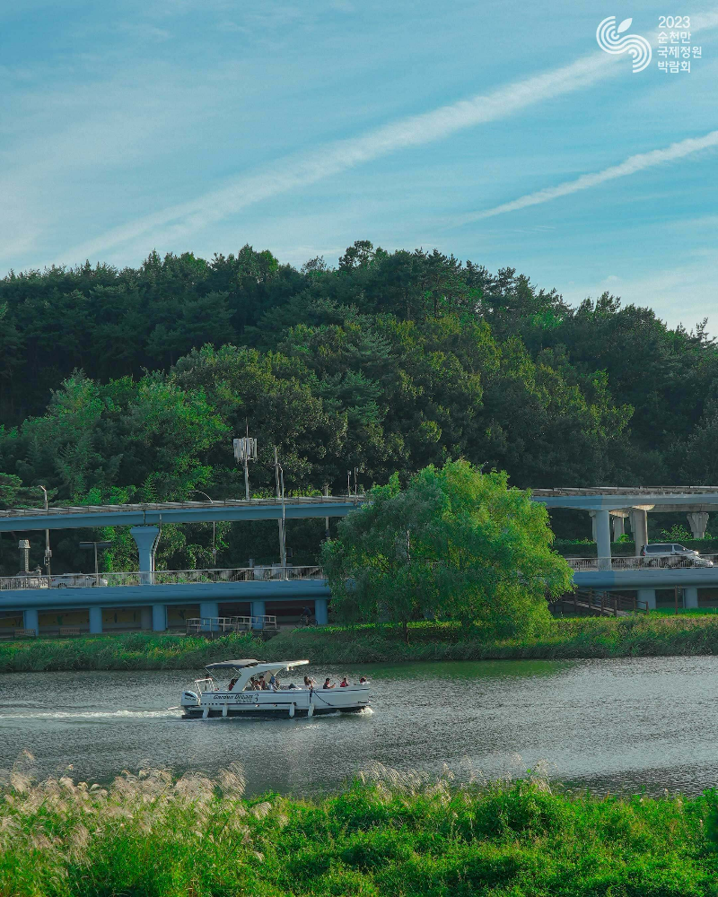 운행중인-정원-드림호