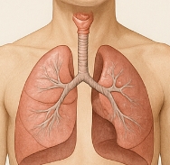 요즘 감기 증상