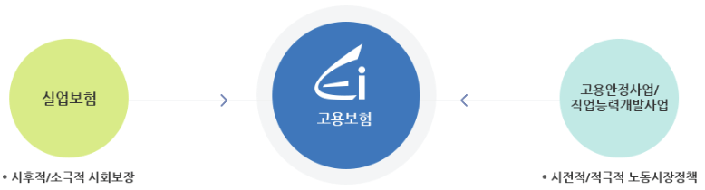 고용보험-구조-표