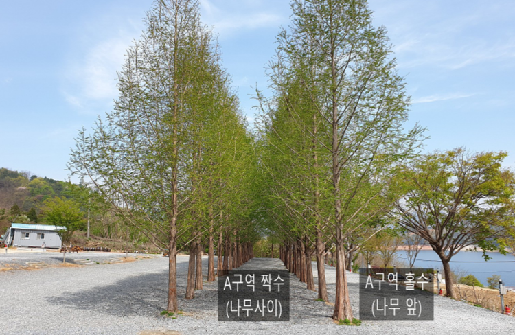 청풍호반 오토캠핑장