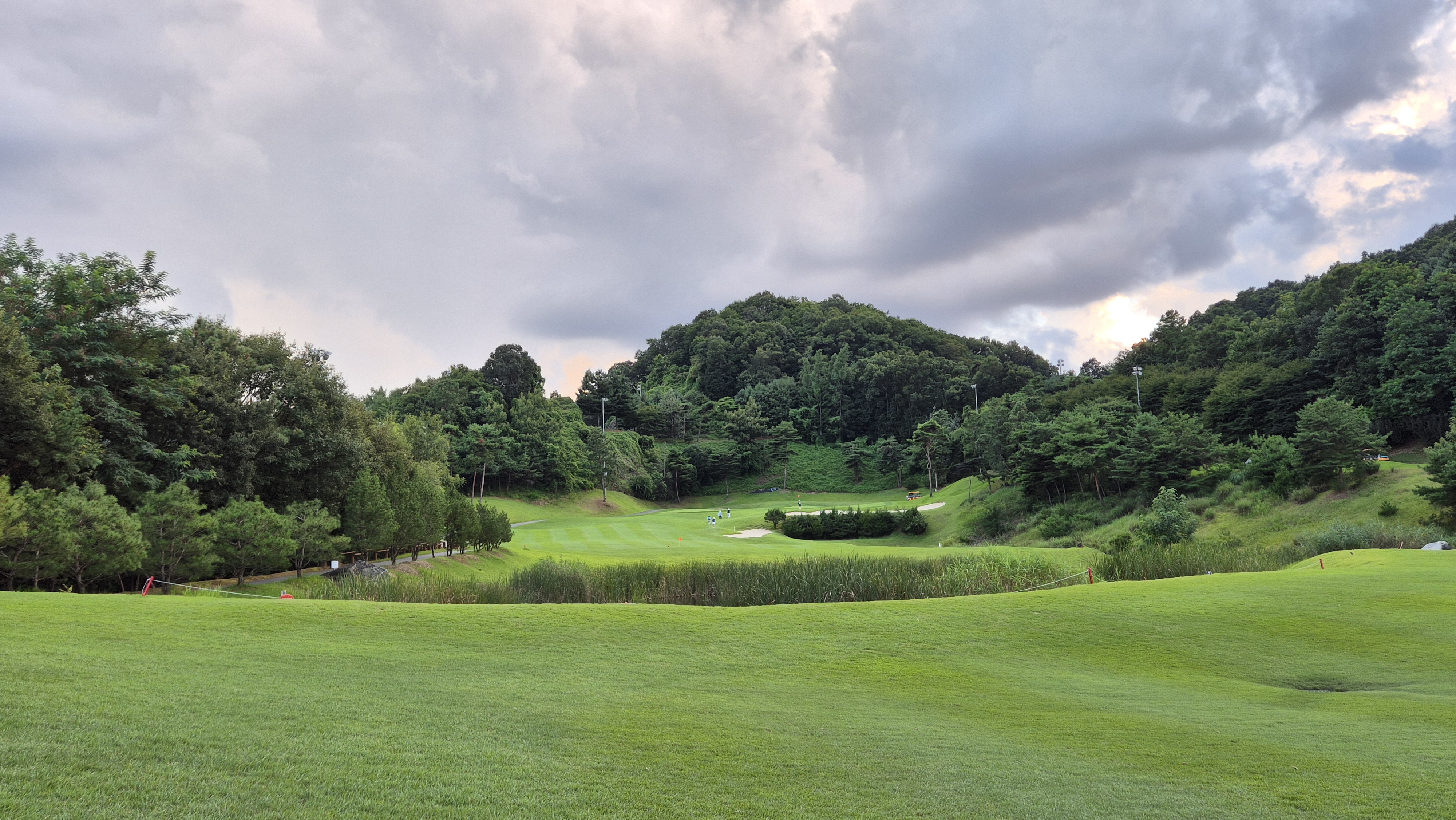 대영힐스cc 청-력 코스 사진 및 공략 정보