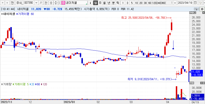 2023년 네이처셀 주가흐름