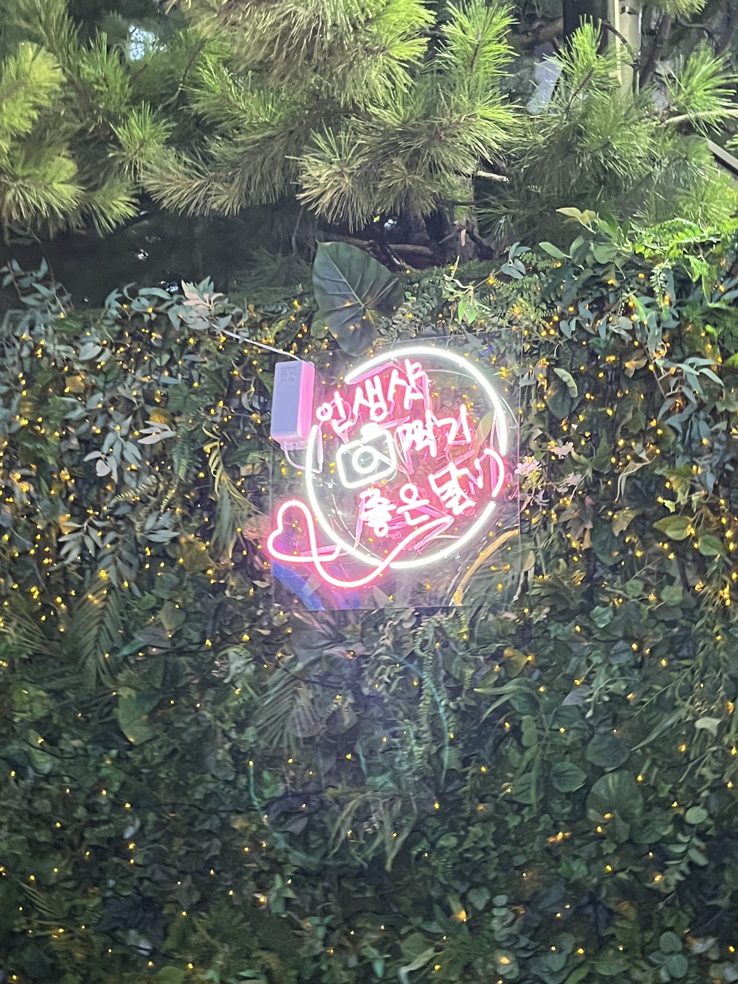 석계역 달빛야행