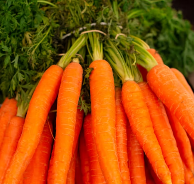 당근 효능 부작용 고르는법 칼로리