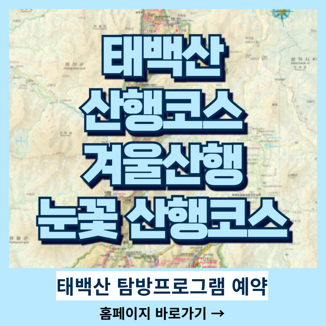 태백산 산행코스, 등산코스 겨울산행, 눈꽃 산행코스