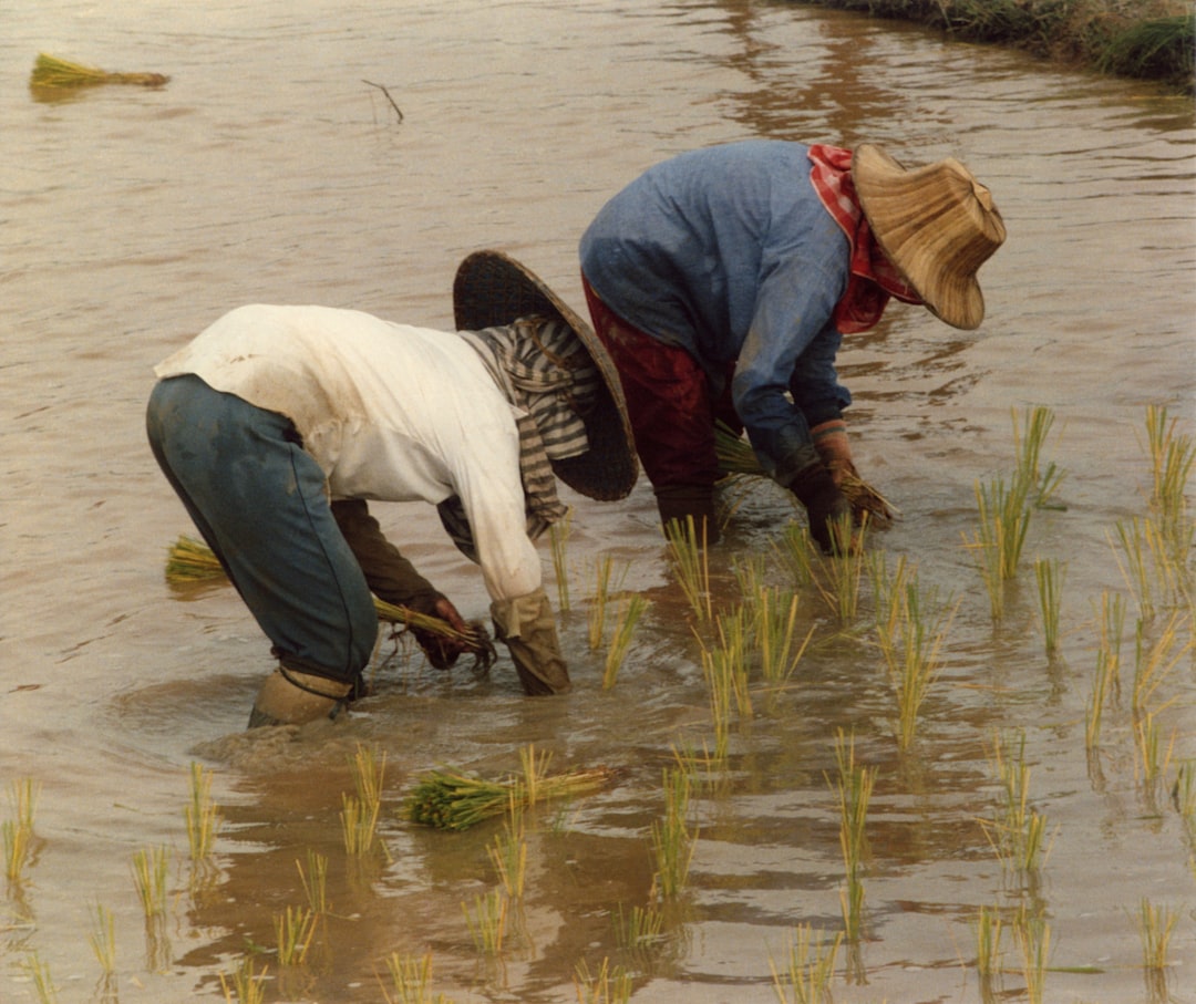 Planting