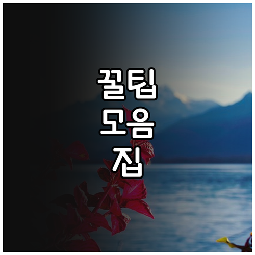 환경오염 피해 2025년 새로운 희망..