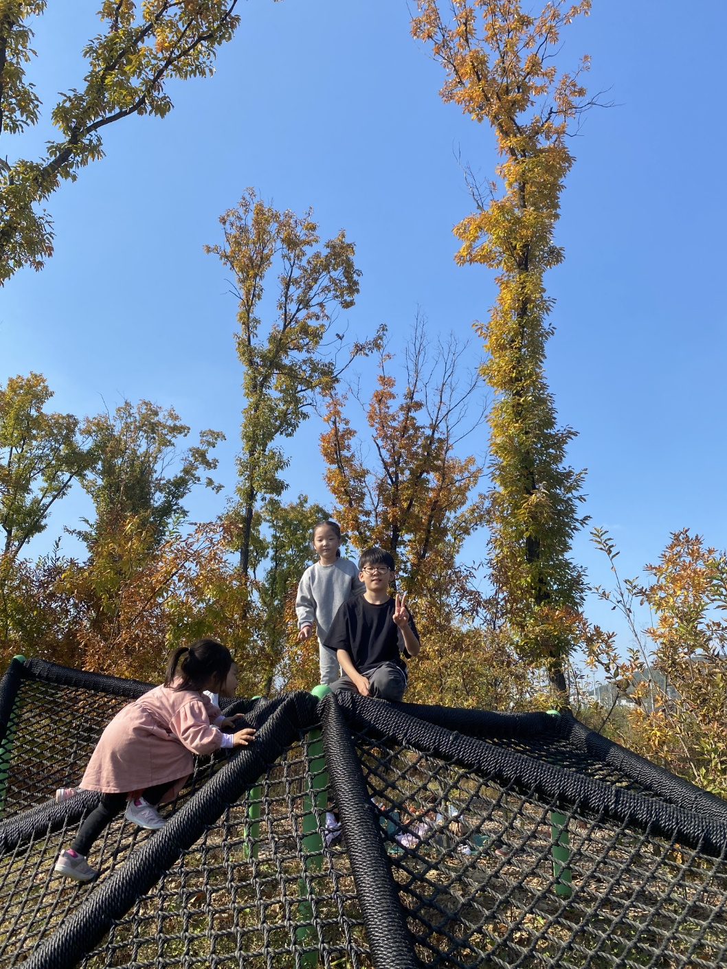 세종 아이와 가볼 만 한 곳 (세종수목원)