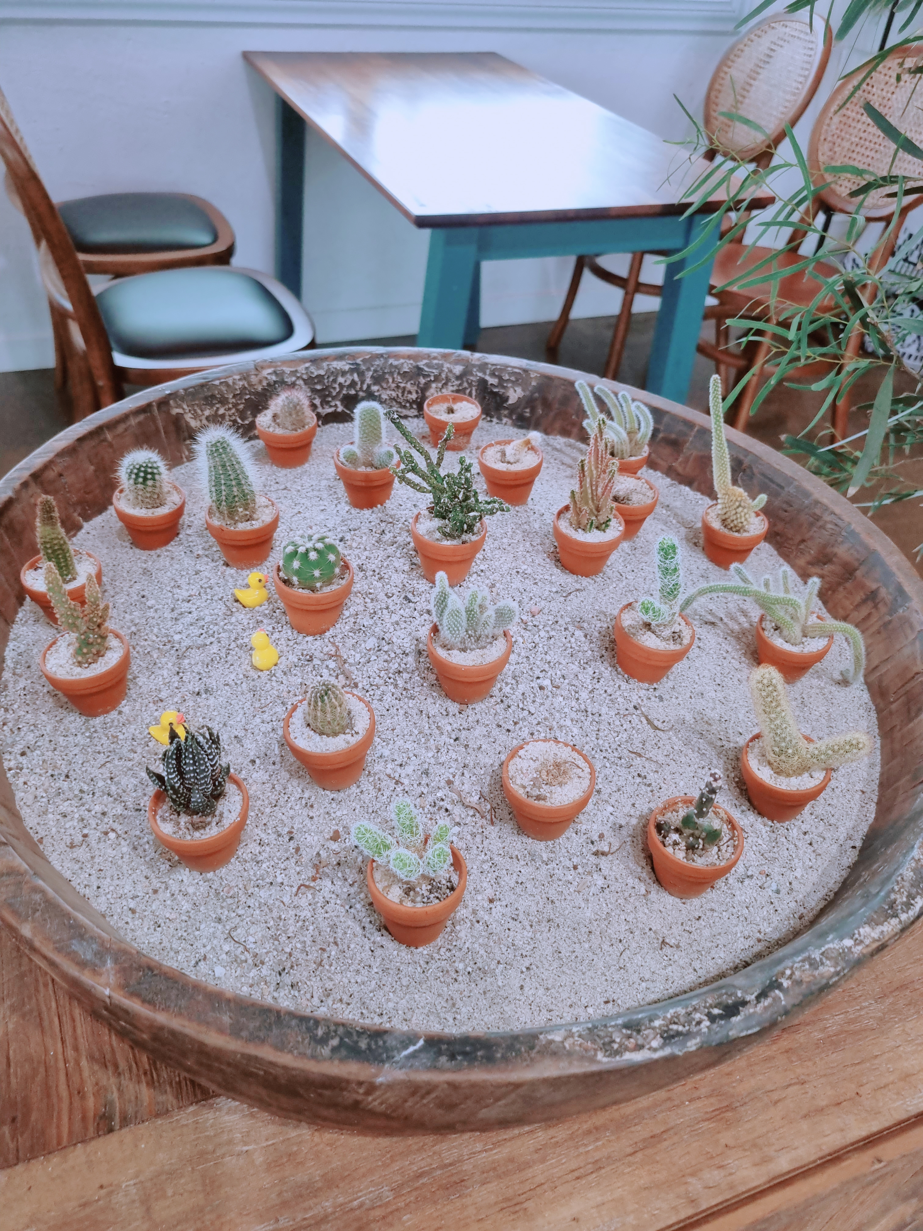 편린