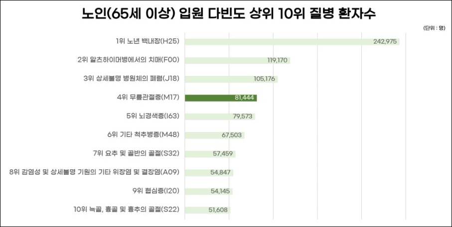 노인 입원 질환 순위