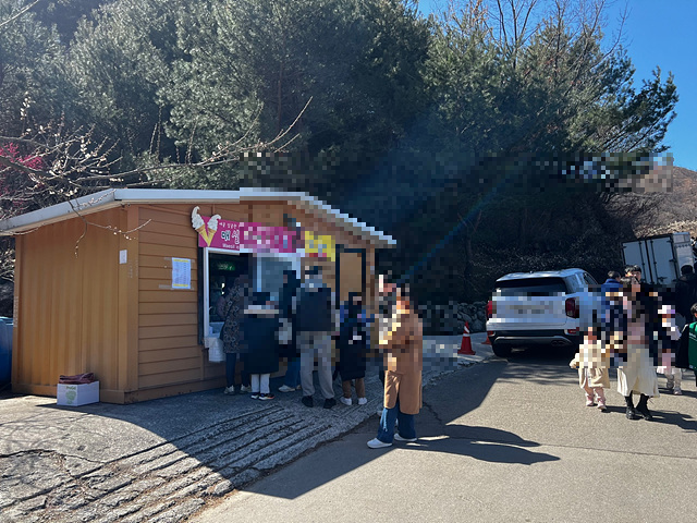 24년 광양 매화 축제 일정 요금 주차