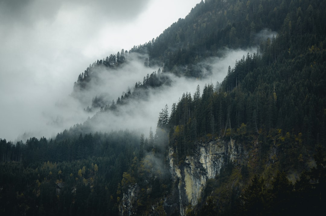 Alps