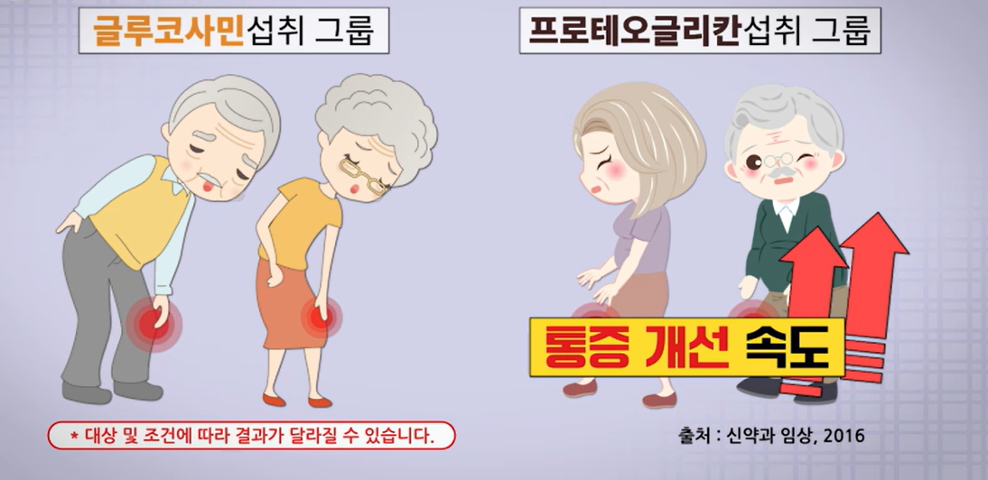프로테오글리칸