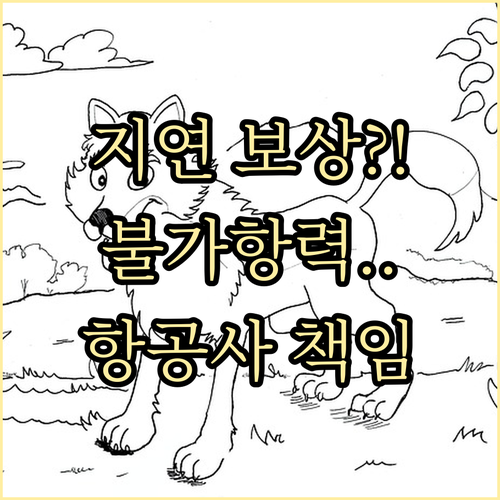 대한항공 지연 보상 불가항력 상황과 ..