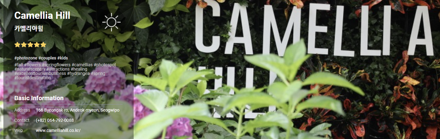 제주 여행 2박3일 추천코스(자유여행)