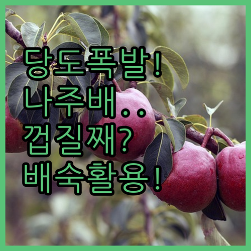 고당도 나주배 껍질째 먹어도 안전한 ..