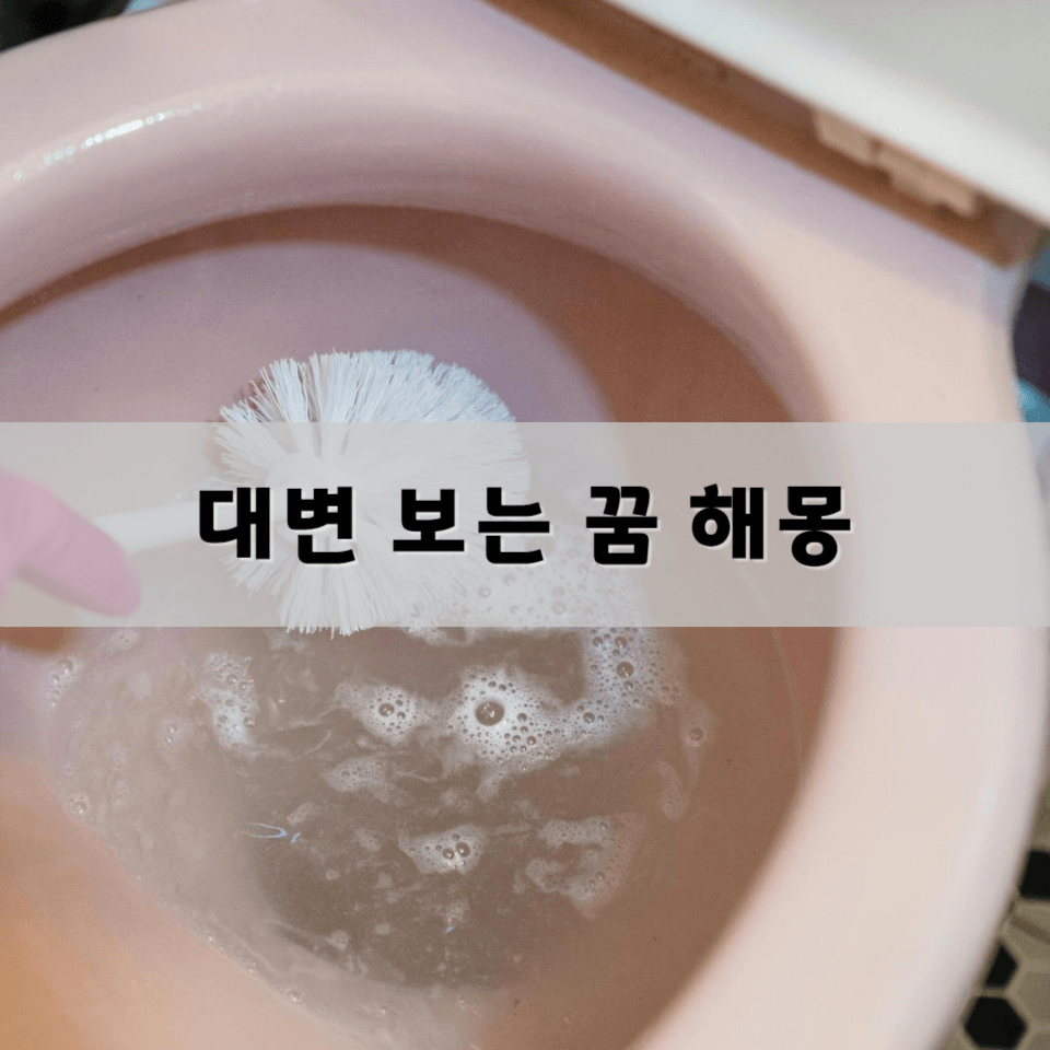 대변-보는-꿈-해몽-풀이의-의미와-해석