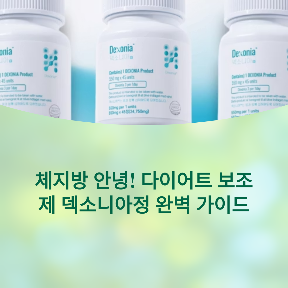 다이어트 보조제 '덱소니아정',