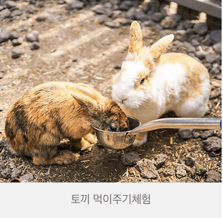 제주 화조원 티켓 (화조원 사이트 사진참조)