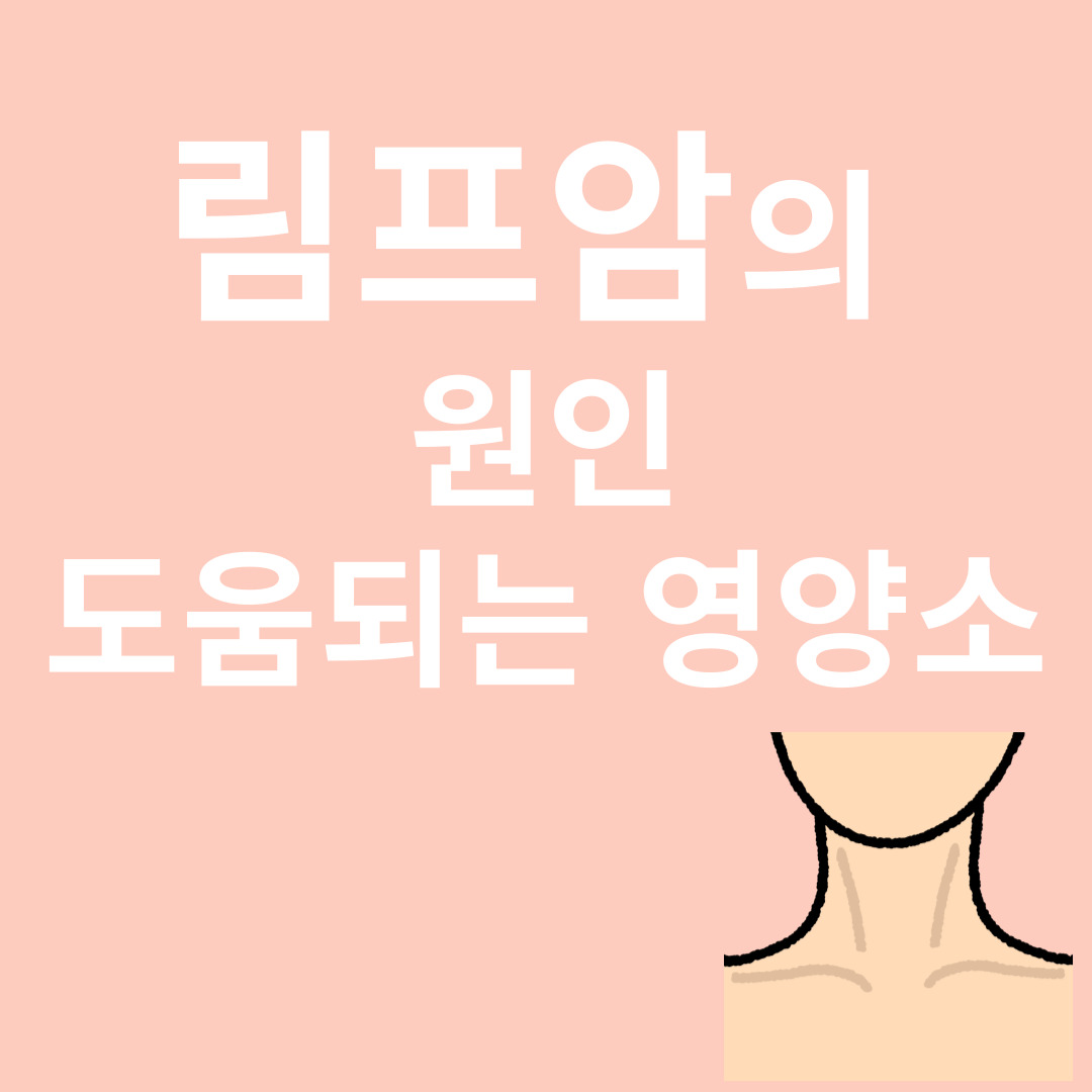 림프와 관련된 이미지