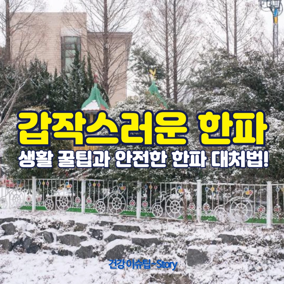 한파를 이겨내는 실속 있는 방법