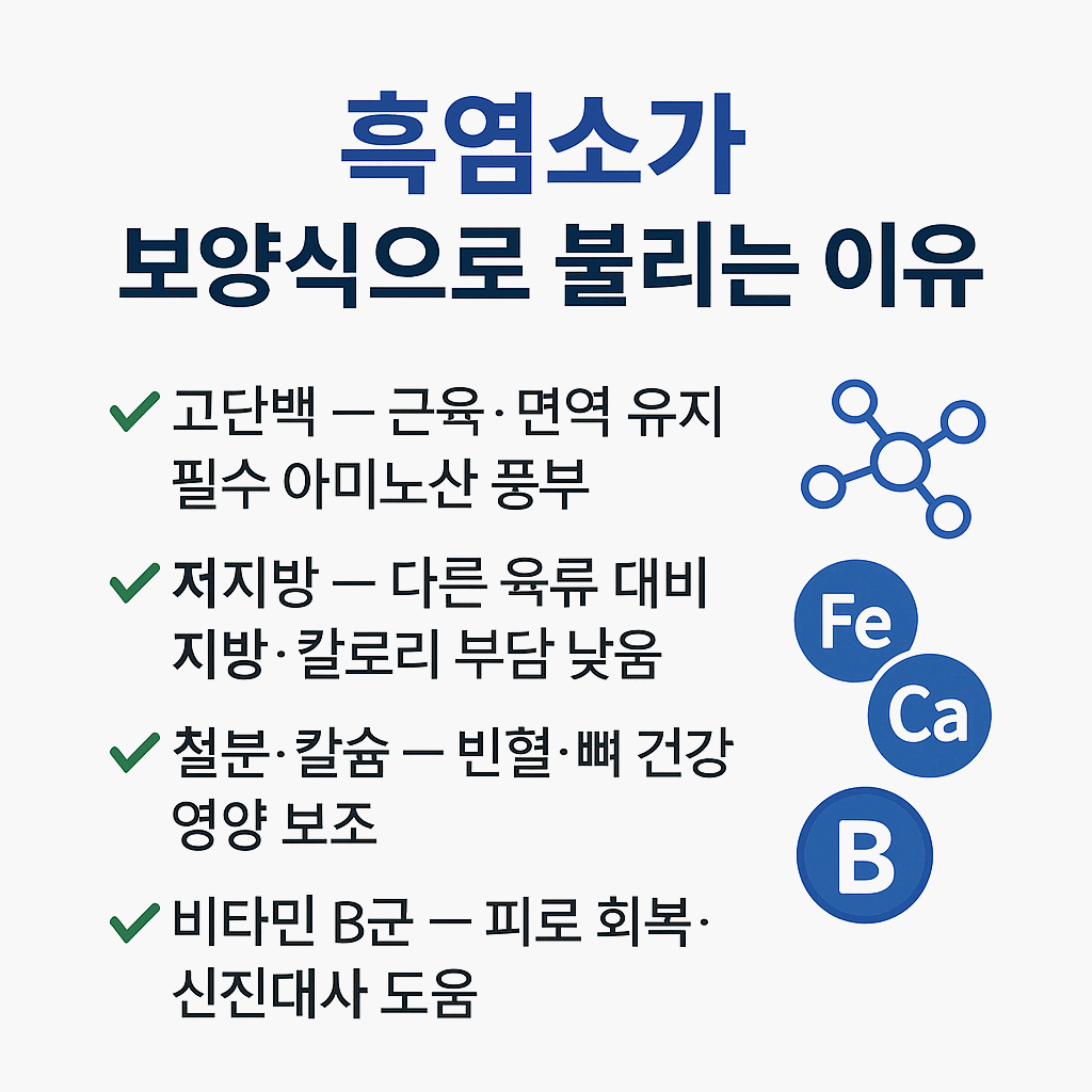 흑염소 효능