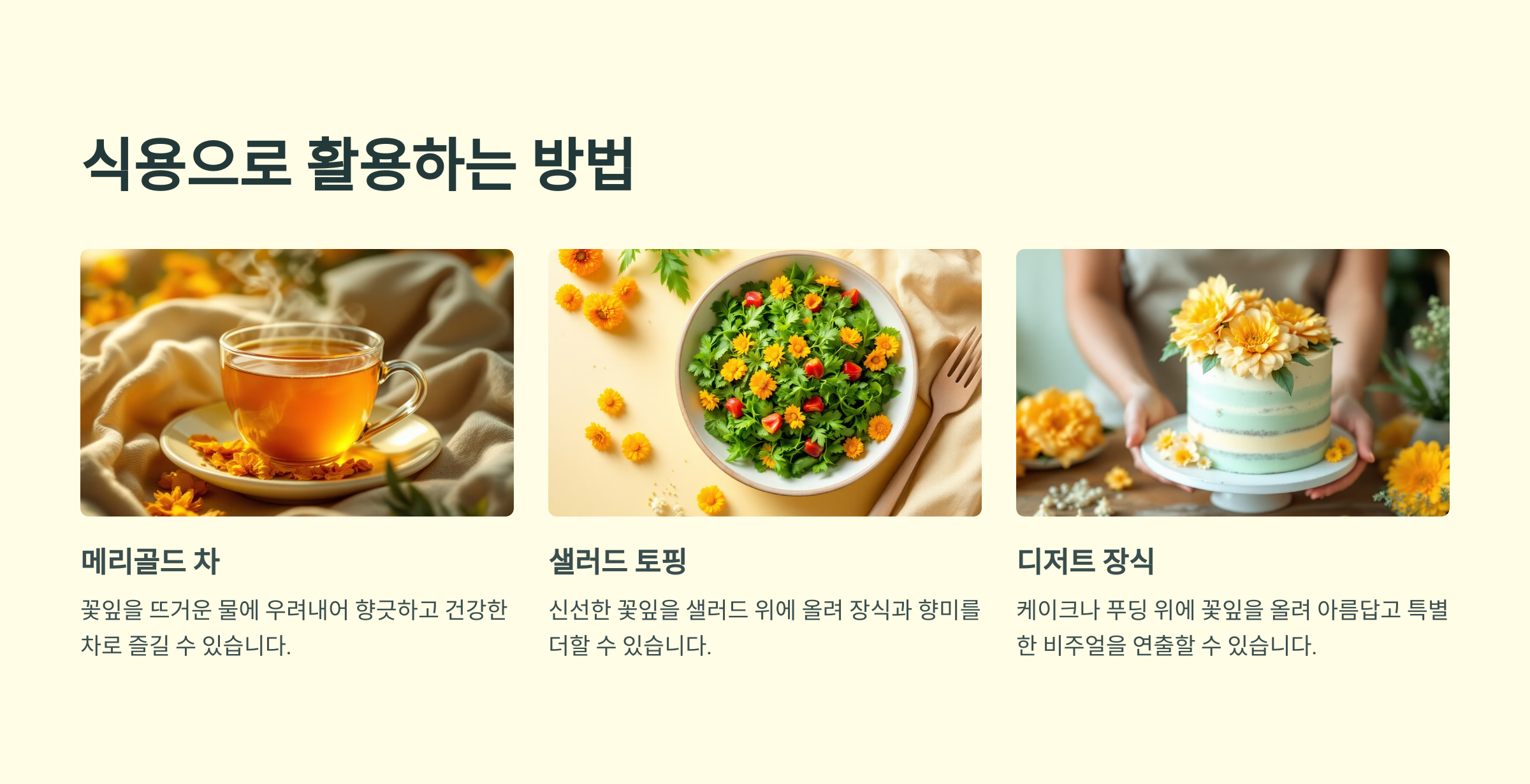 메리골드 잉카 꽃