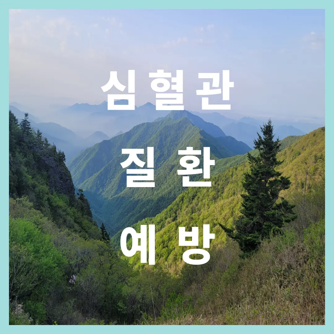 심혈관 질환 예방: 50대 이후, 건강한 혈관으로 활기찬 노년을 지켜주는 핵심 전략