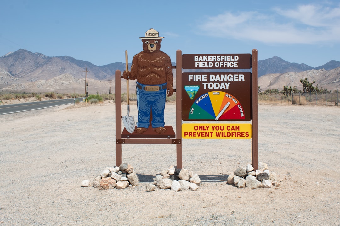Wildfire