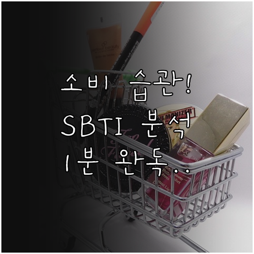 SBTI 소비 성향 테스트 소요 시간..